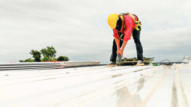 Skylights in Fort Plain, NY